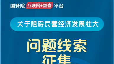 啊啊～不要射国务院“互联网+督查”平台公开征集阻碍民营经济发展壮大问题线索